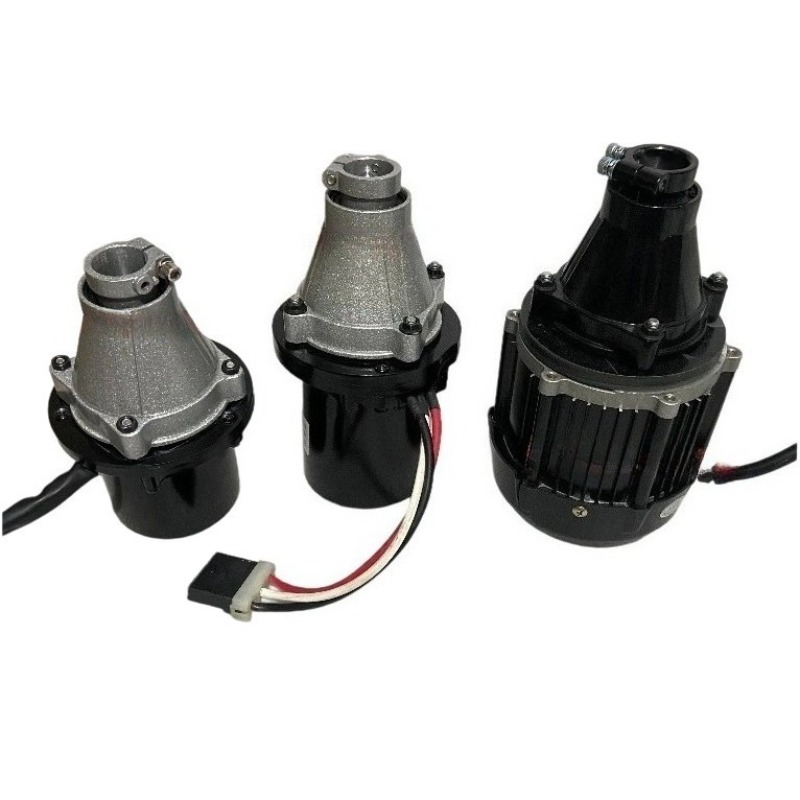 Fishing Boat Outboard Motor - Motore Fuoribordo Brushless 12V-60V 500W-1500W per