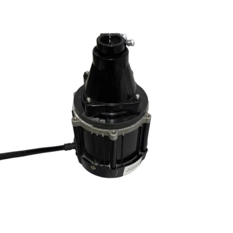 Motore Fuoribordo Brushless 12 - Fishing Boat Outboard Motor recensione e prezzo